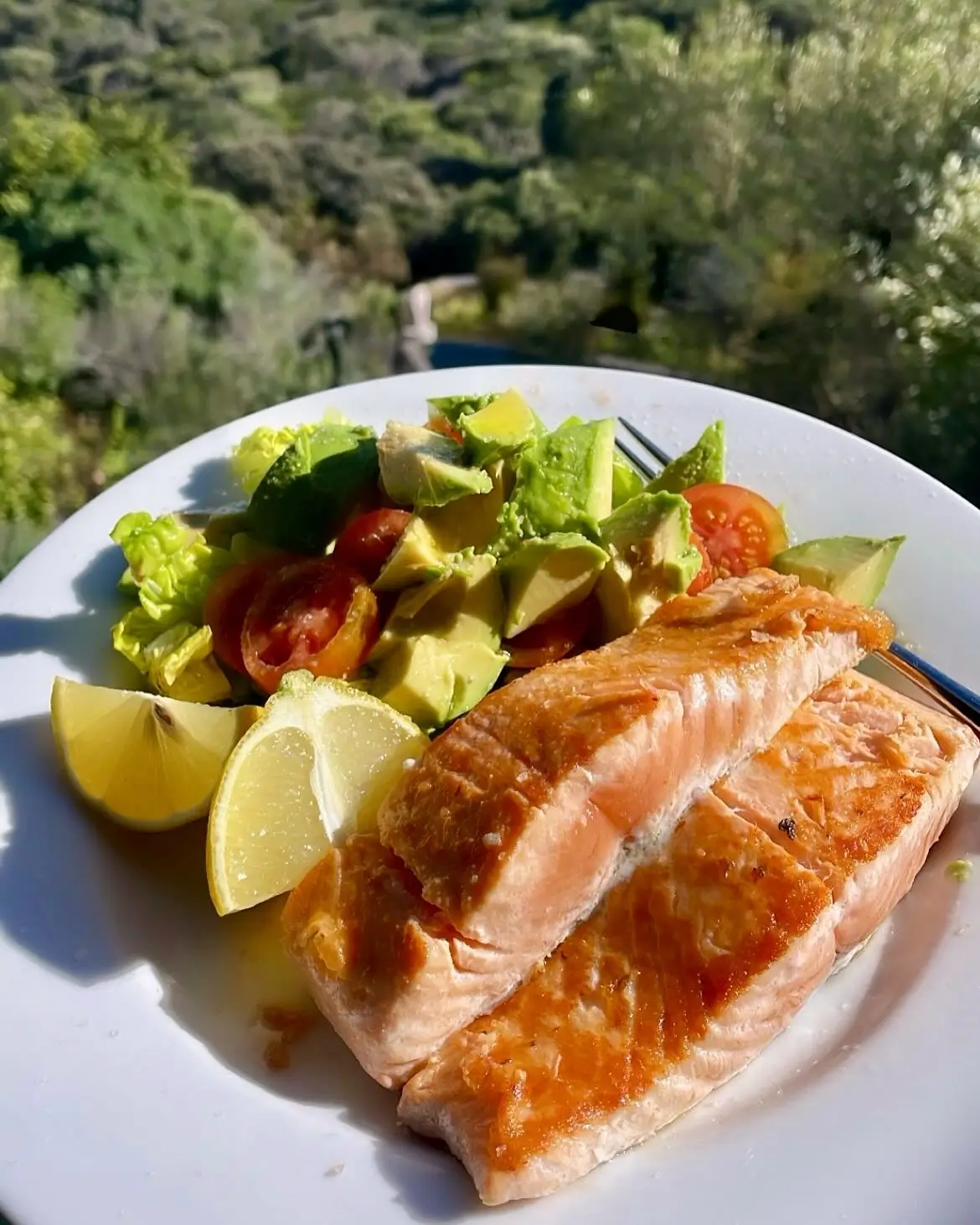 Healthy salmon meal
